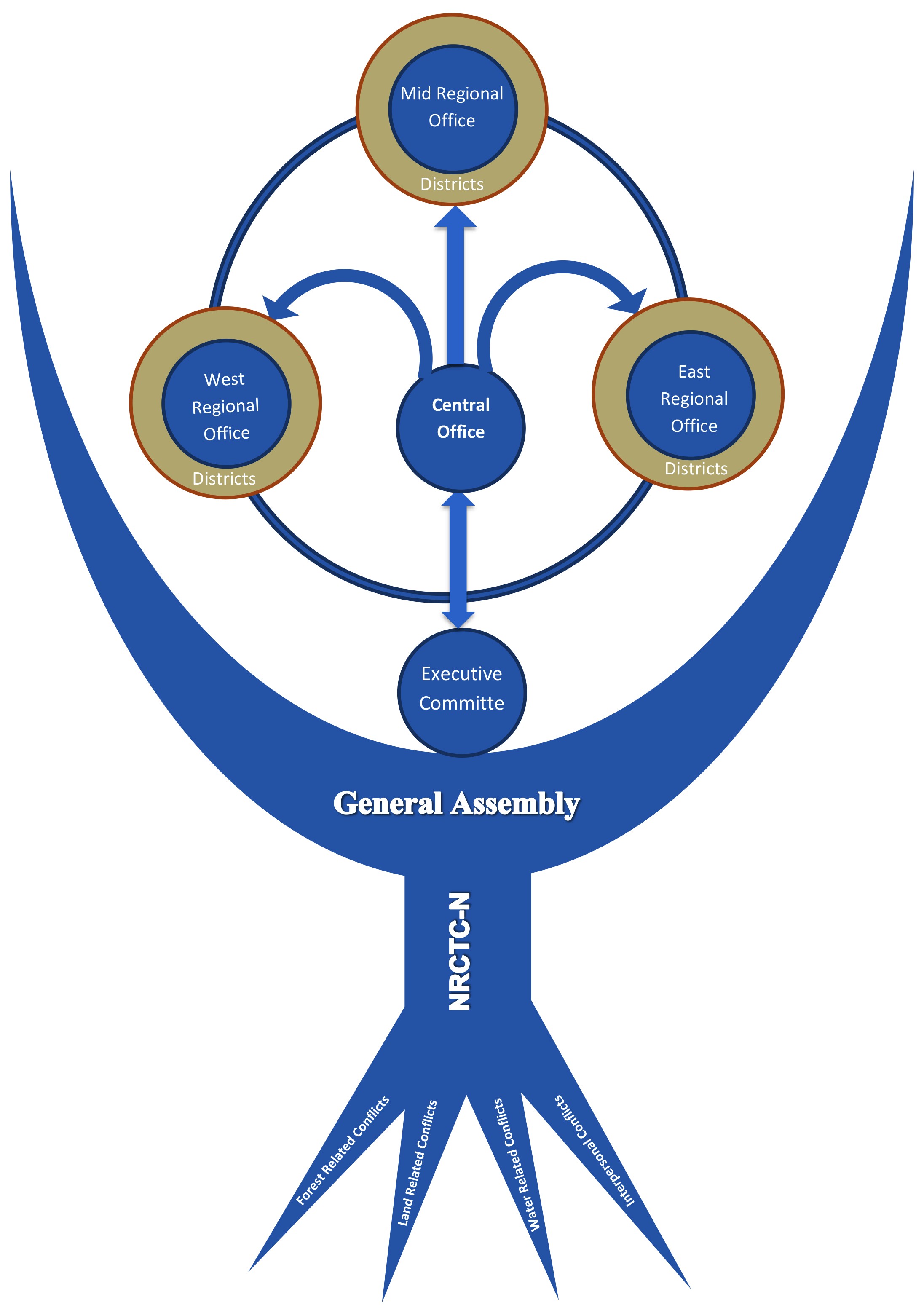 Organogram